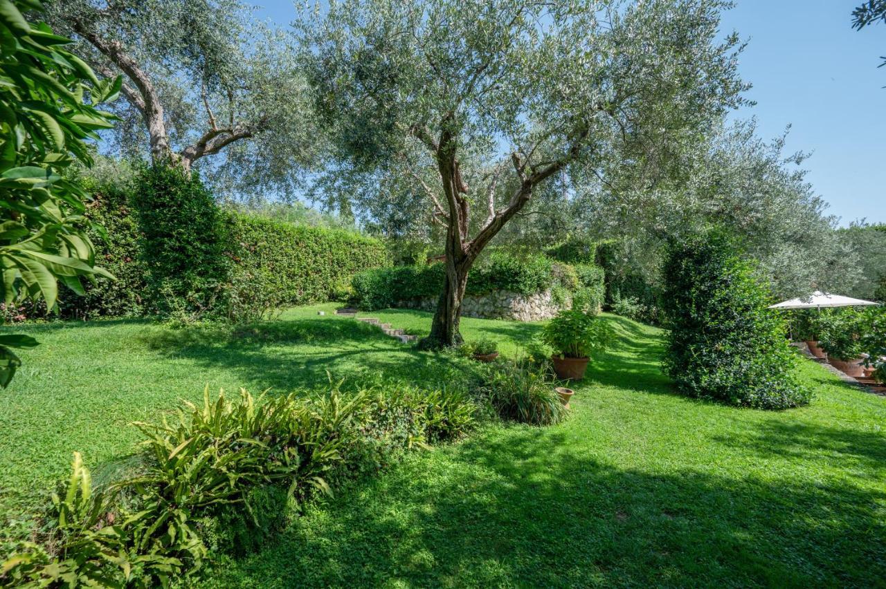 Villa Eden Forte Dei Marmi With Private Infinity Pool Santa Lucia  Zewnętrze zdjęcie