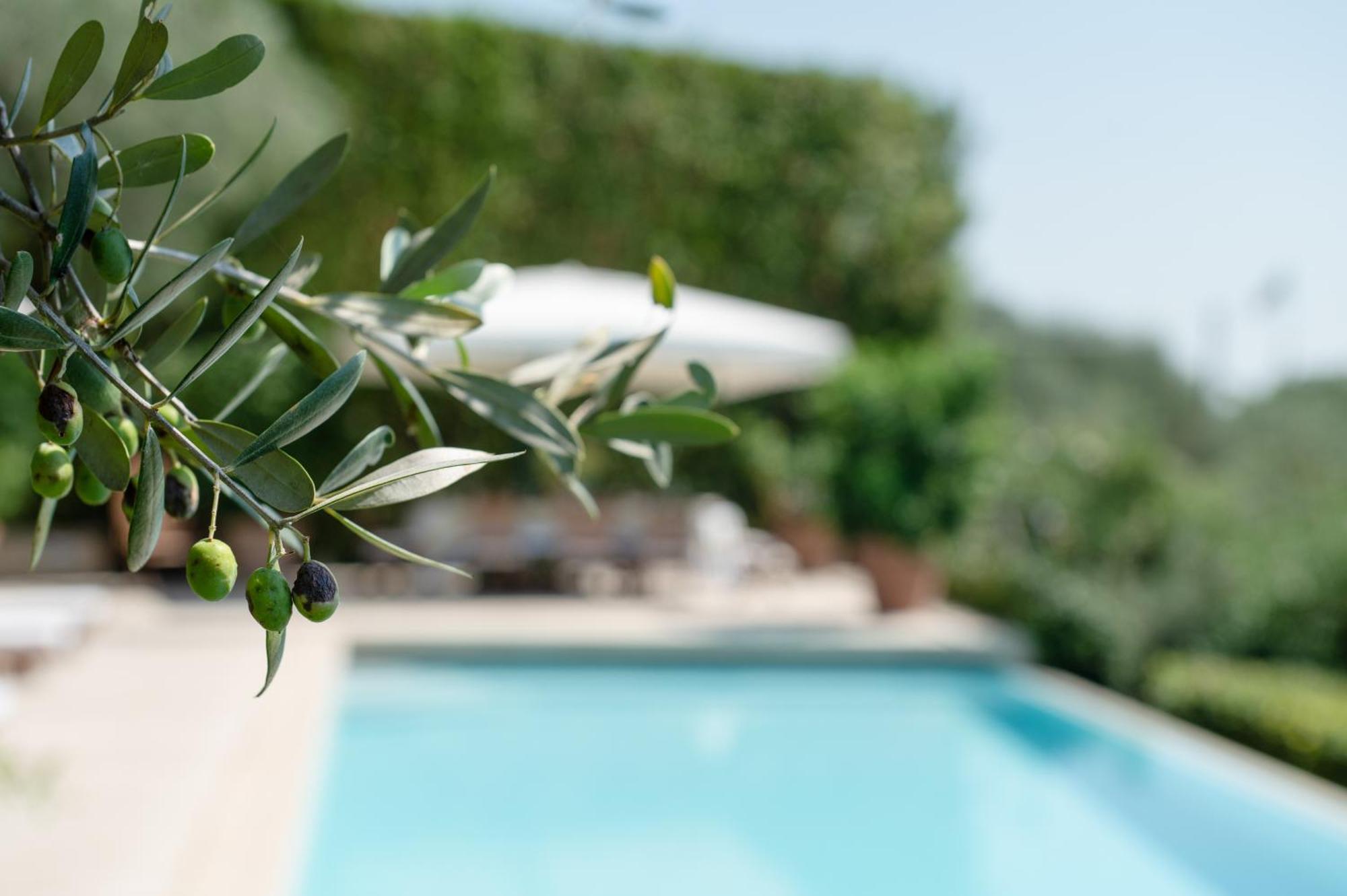 Villa Eden Forte Dei Marmi With Private Infinity Pool Santa Lucia  Zewnętrze zdjęcie
