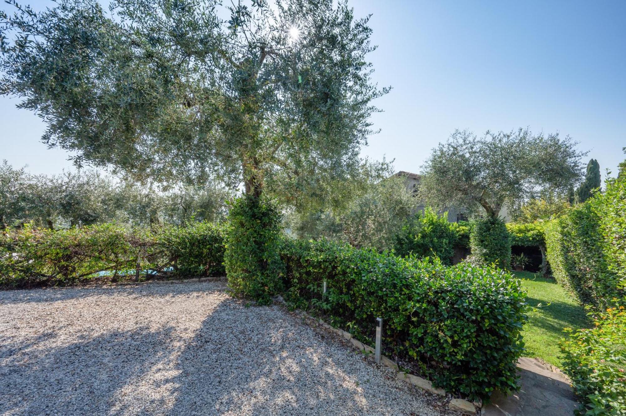 Villa Eden Forte Dei Marmi With Private Infinity Pool Santa Lucia  Zewnętrze zdjęcie